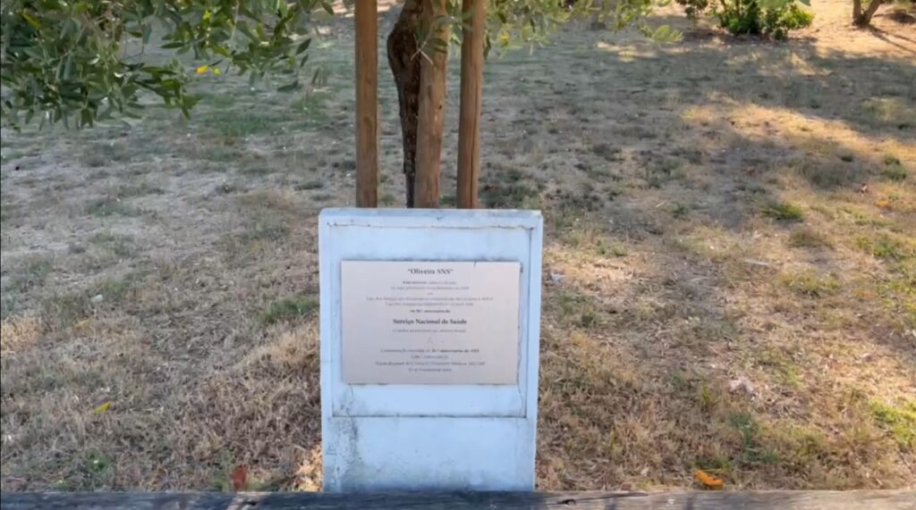 Oliveira SNS